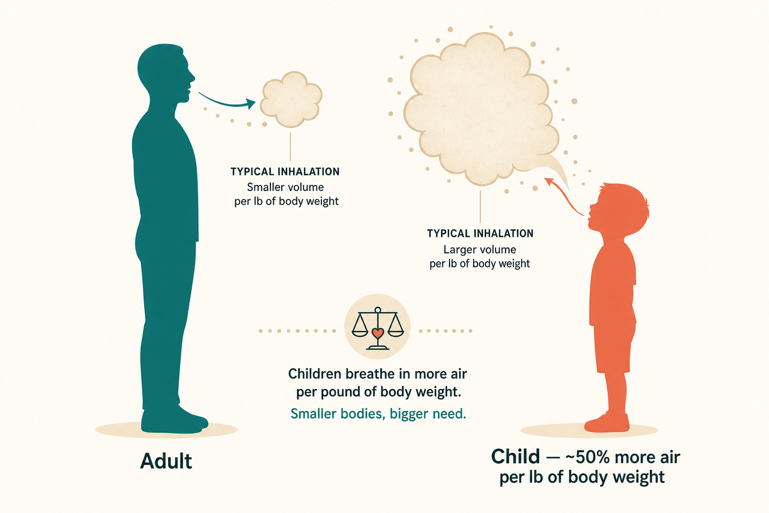 Side-by-side illustration of an adult in teal and a child in coral, showing that children inhale a larger proportional volume of air per pound of body weight